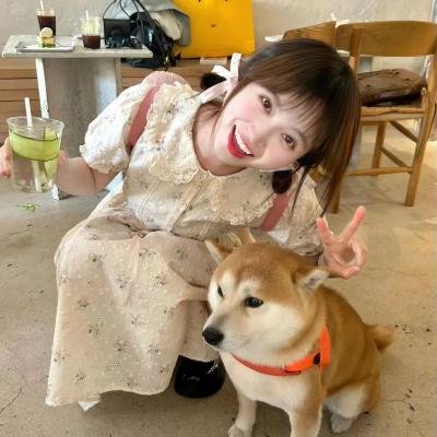 麻烦终结者