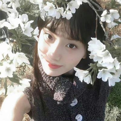 重生七零娇妻她上房揭瓦